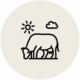 Pasture living